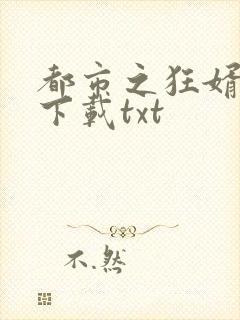 都市之狂婿战神下载txt