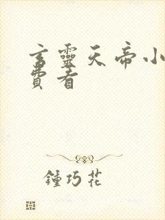 玄灵天帝小说免费看封面