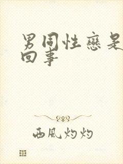 男同性恋是怎么回事