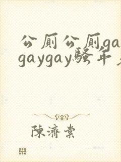 公厕公厕gaygaygay骚年老头