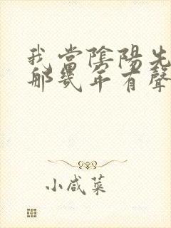 我当阴阳先生的那几年有声小说景阳