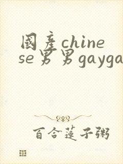 国产chinese男男gaygay180只
