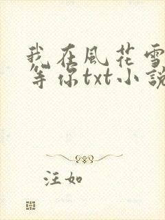 我在风花雪月里等你txt小说下载