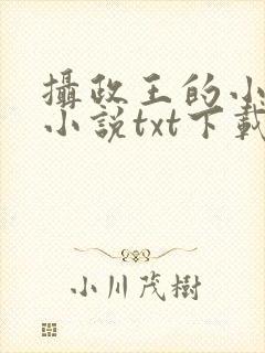 摄政王的小闲妻小说txt下载