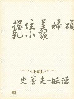 握住美妇硕大双乳小说