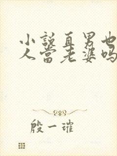 小说直男也能给人当老婆吗