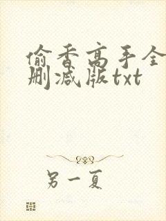 偷香高手全文无删减版txt