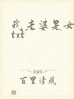 我老婆是女学霸txt