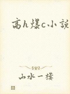 高h爆c小说