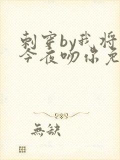 刺穿by我将在今夜吻你免费阅读