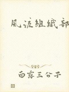 风流组织部长封面