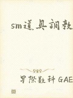 sm道具调教