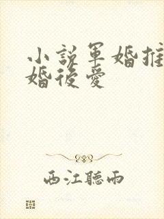 小说军婚推荐先婚后爱