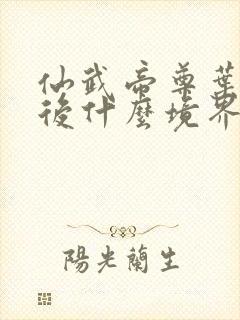 仙武帝尊叶辰最后什么境界