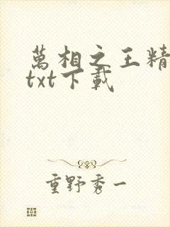 万相之王精校版txt下载