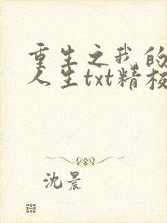 重生之我的书记人生txt精校