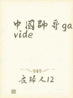 中国帅哥gay vide封面