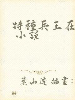 特种兵王在山村 小说