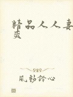 精品人人妻人人爽