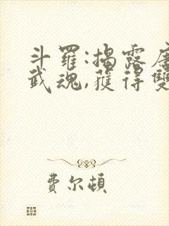 斗罗:揭露唐三武魂,获得双穿门 寒三万