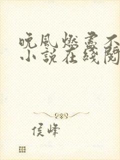 晚风燃尽不再见小说在线阅读