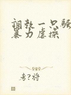 调教一只骚母狗暴力虐操