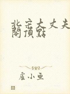 北宋大丈夫笔趣阁顶点