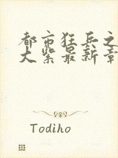 都市狂兵之大红大紫最新章节