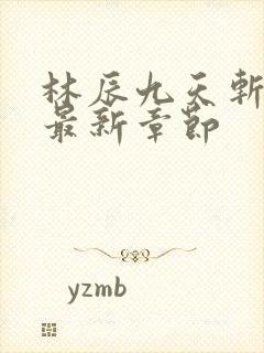 林辰九天斩神诀最新章节封面