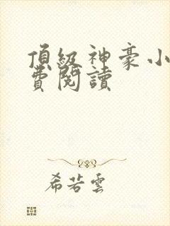 顶级神豪小说免费阅读