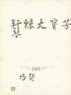 轩辕大宝芳菲雅琴封面