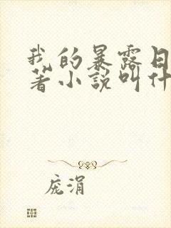 我的暴露日记原著小说叫什么