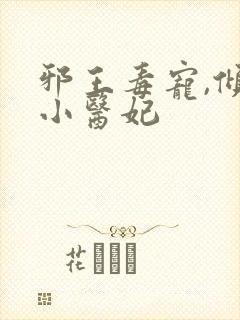 邪王毒宠,倾城小医妃