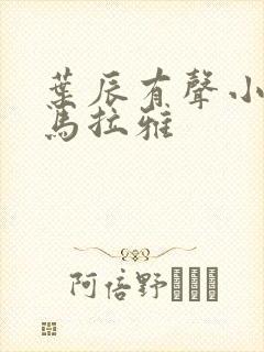 叶辰有声小说喜马拉雅