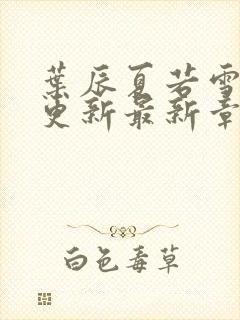 叶辰夏若雪刚刚更新最新章节无弹窗