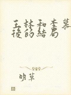 王林和李慕婉最后的结局封面