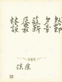 林辰苏夕然的小说最新章节