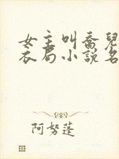 女主叫乔儿的浣衣局小说名字封面