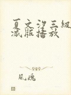 夏文汐三级无删减版播放