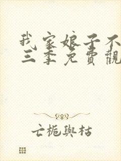 我家娘子不对劲三季免费观看