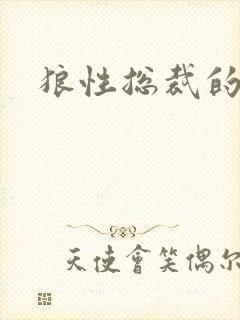 狼性总裁的尤物封面