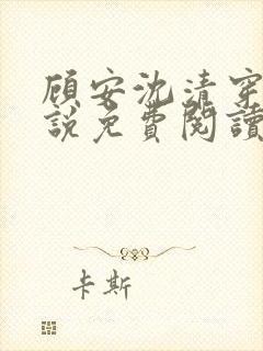 顾安沈清穿越小说免费阅读