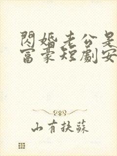 闪婚老公是超级富豪短剧安南