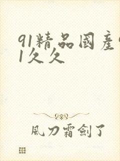 91精品国产91久久