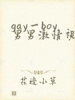gay一boy男男激情视频