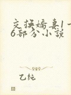 交换娇妻1一36部分小说