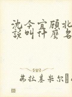 沈今宜顾北玄小说叫什么名字