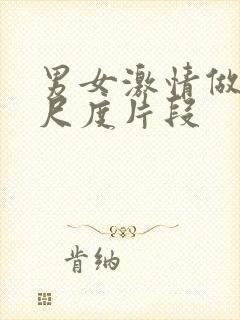 男女激情做爰大尺度片段封面