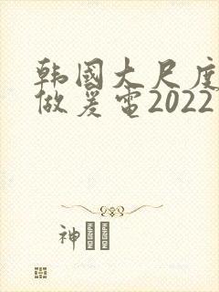 韩国大尺度激情做爰电2022封面