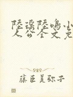 陆瑶陆鸣小说主人公全文免费阅读笔趣阁封面